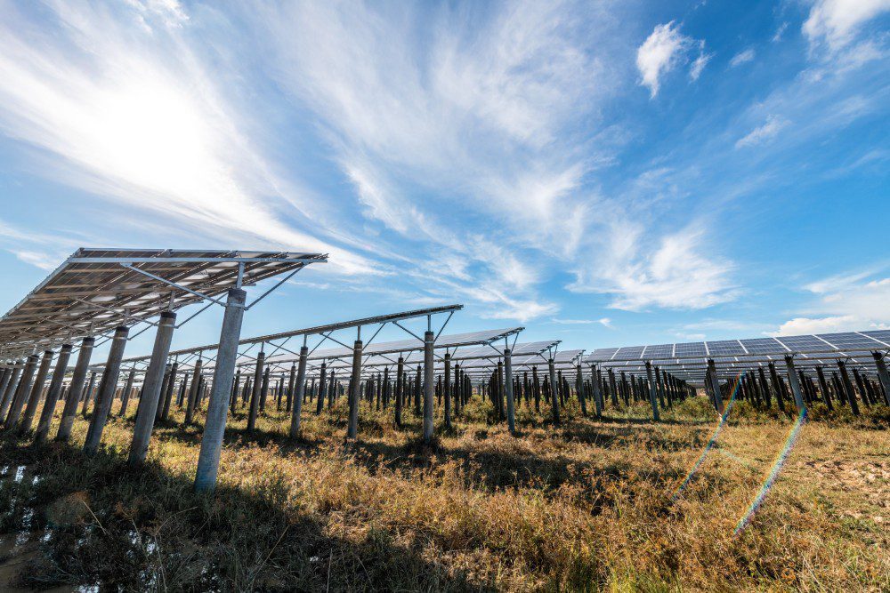 A row of green tractors parked neatly on a lush green field under a clear blue sky